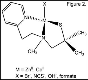 a cyclic diagram of L2SH
