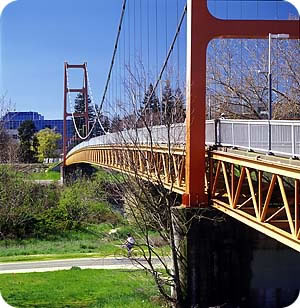 bike rider below Guy West Bridge