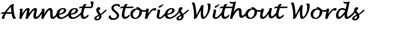 Amneet's Stories Without Words 
