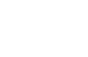 "When we truly let go, we release our natural creative energy to flow through every experience." - Tulku