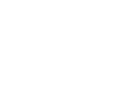 Stephanie Dowd 
