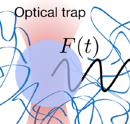 Optical trap