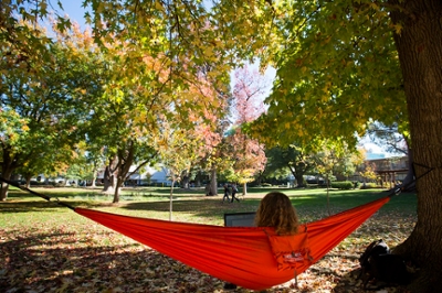 A student relaxing in a hammock on campus