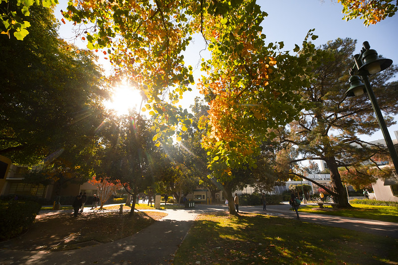 Beautiful campus