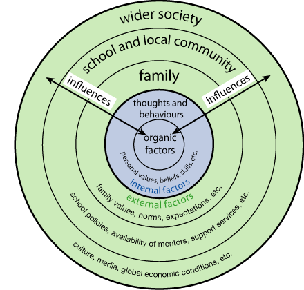 ecological-diagram.gif
