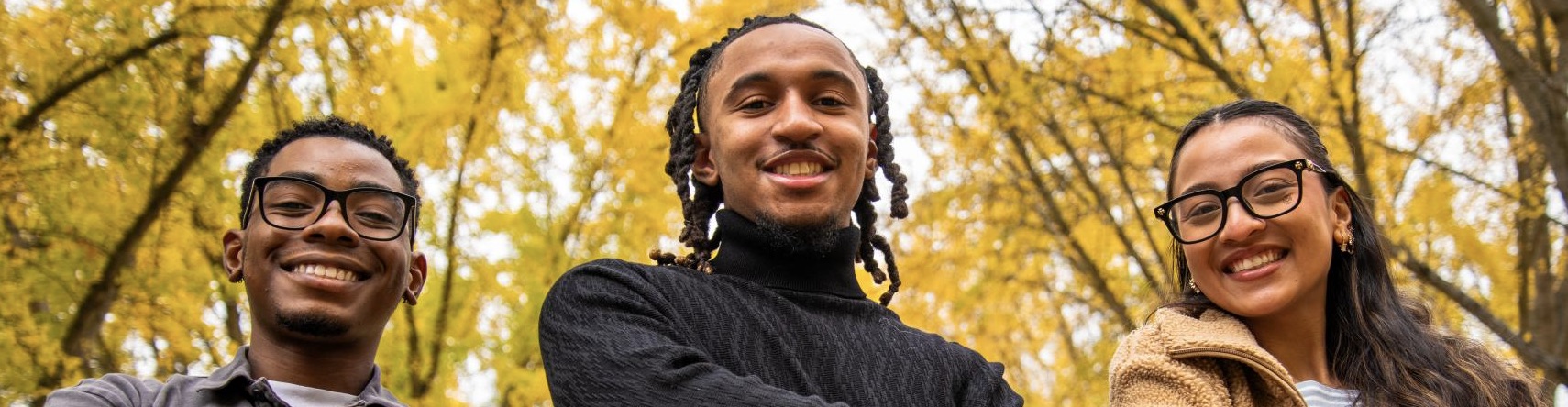 super cropped state hornet