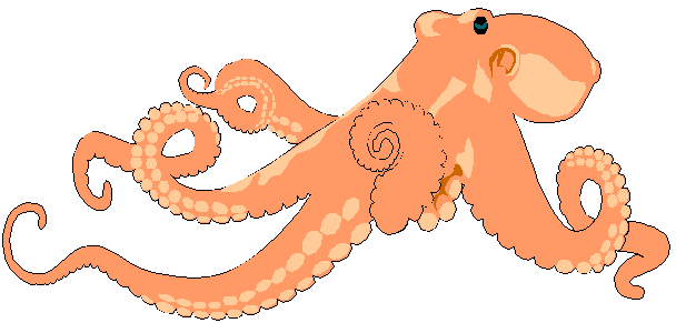 Cephalopods