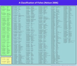 Classification of Fishes according to Nelson 2006