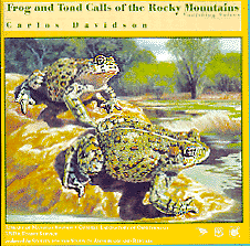 rockymtfrog.gif (37414 bytes)