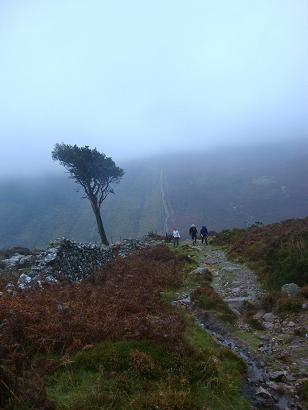 Hikers