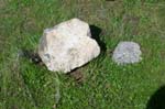Chris_Hoadley_05