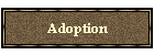 Adoption