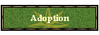 Adoption