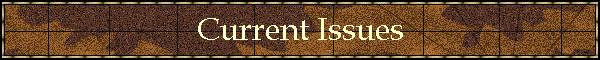 Current Issues