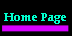 Home Button