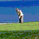 [Thumbnail of Pebble Beach]