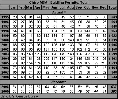 table, Building Permits, 1995-2009