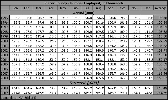 table, Number of Persosns Employed, 1995-2009