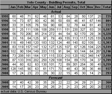 table, Building Permits, 2000-2009