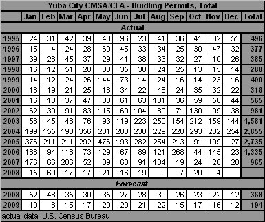 table, Building Permits, 1995-2009