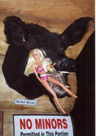Barbie in boar's mouth