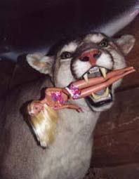 Barbie in cougar's mouth