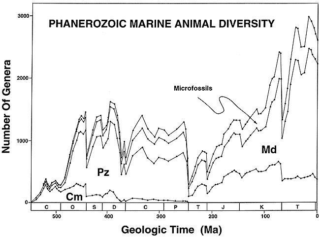 Generic Diversity curve