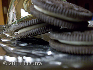 Dutra_Jessica_SH3_01