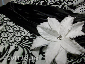 Dutra_Jessica_SH3_02