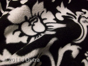 Dutra_Jessica_SH3_03