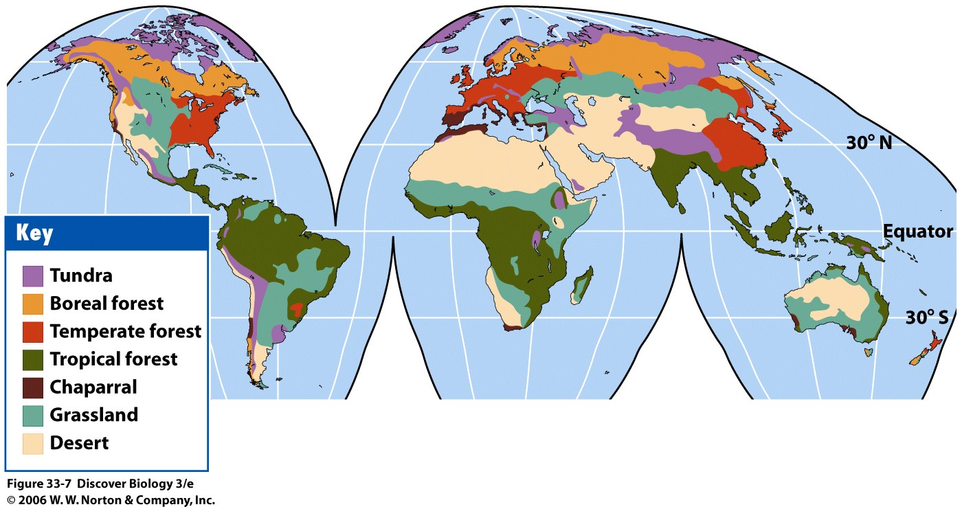 Taiga Food Web: Interconnected Relationships between Flora and Fauna