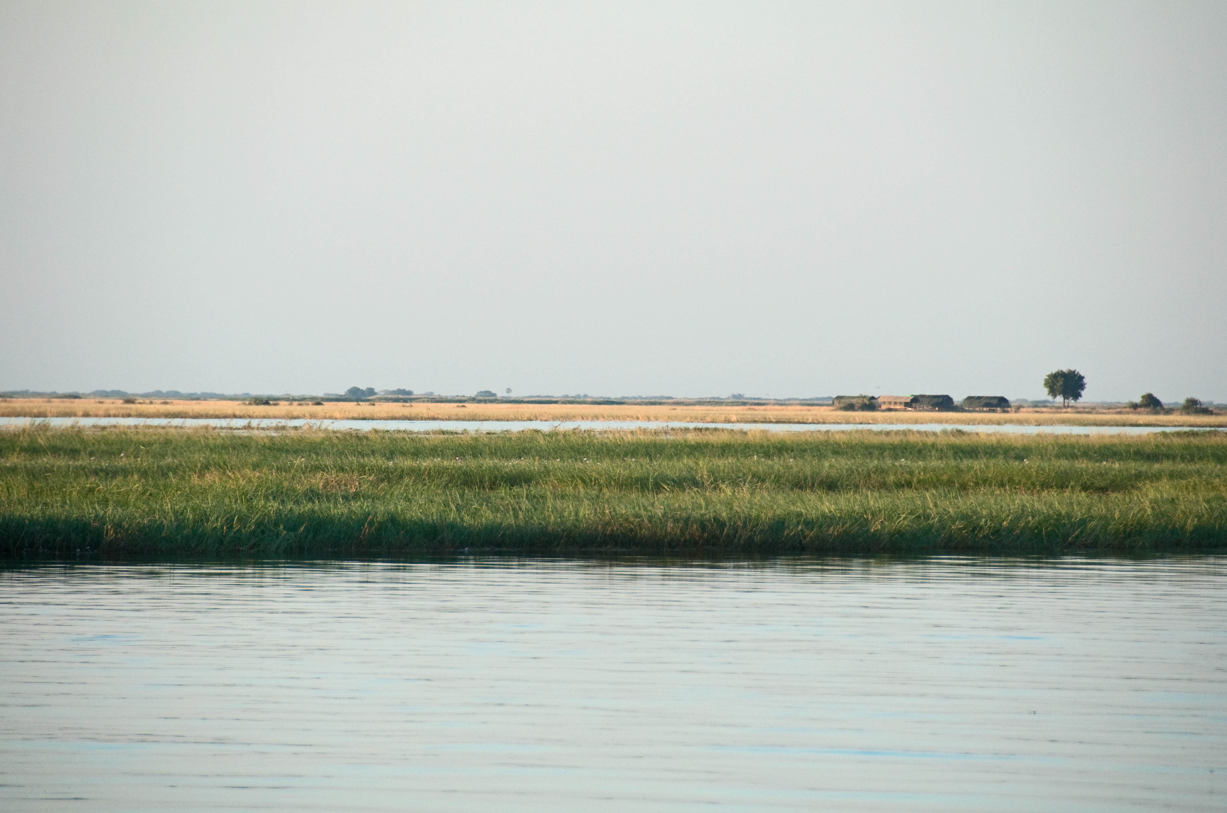 Chobe River