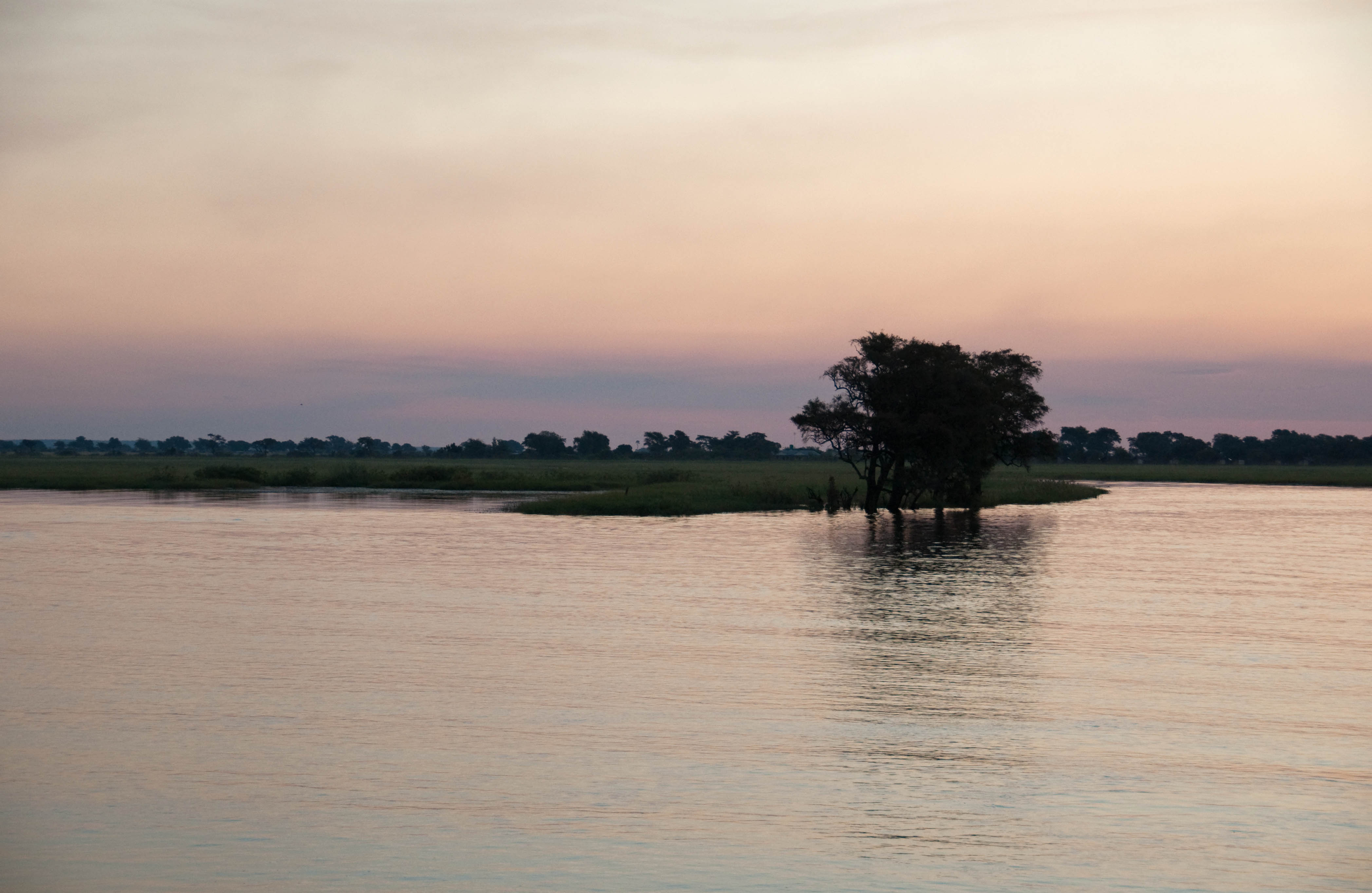 Chobe River