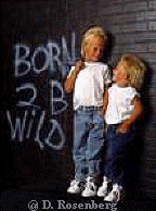 kids-borntobewild.jpg