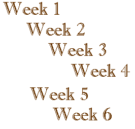 Weekly Sessions