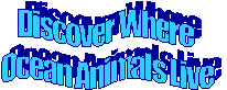Discover Where 
Ocean Animals Live