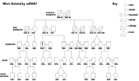 Geneology chart