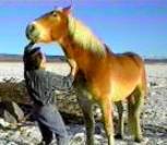 He is just huge!