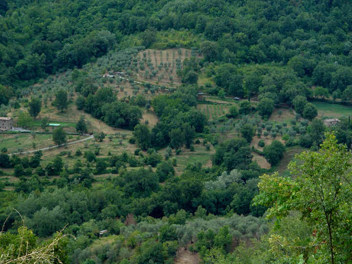 ItalyCivitaCountryside06110.jpg (256661 bytes)