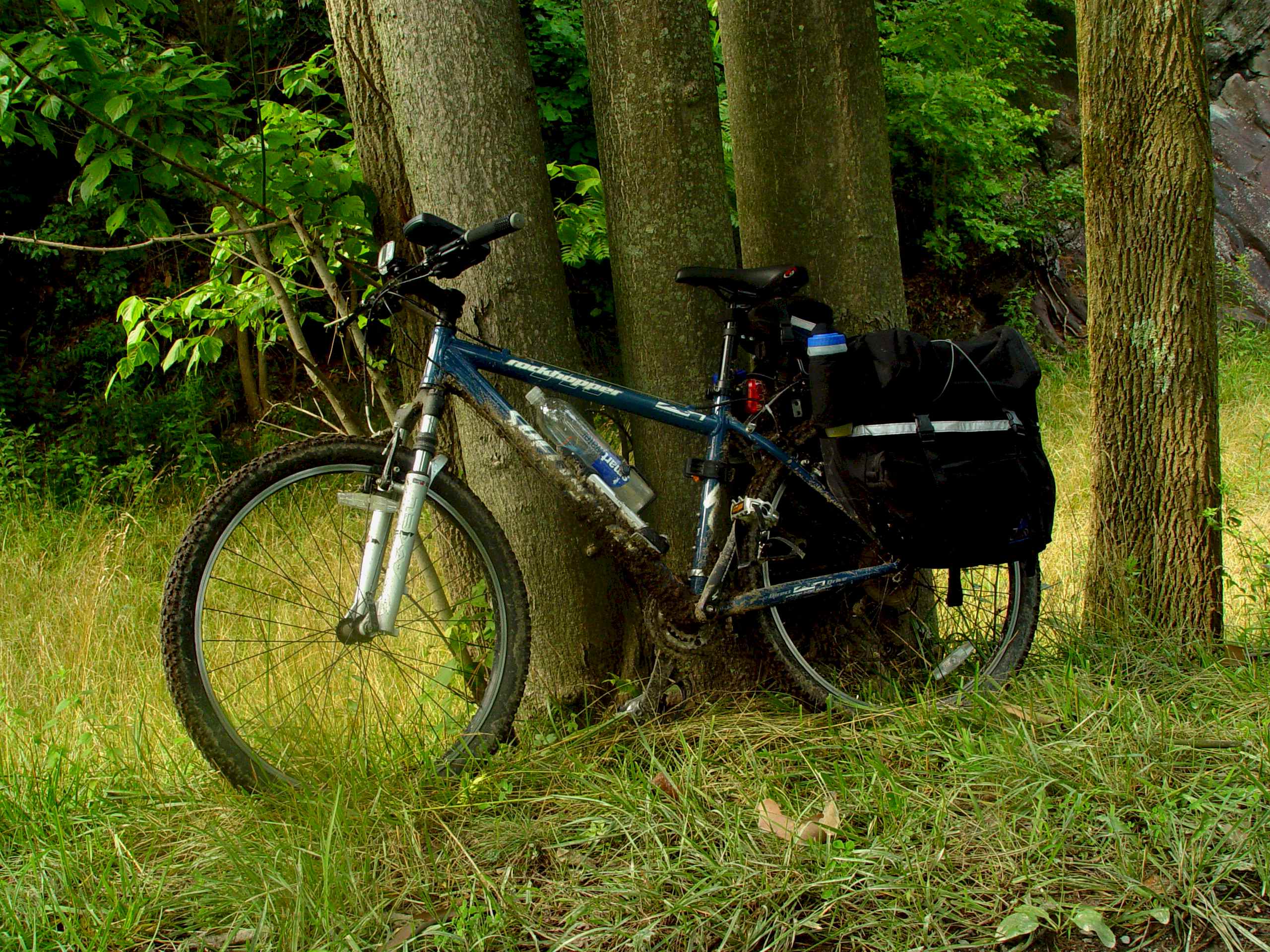 06935RestingBike.jpg (671248 bytes)