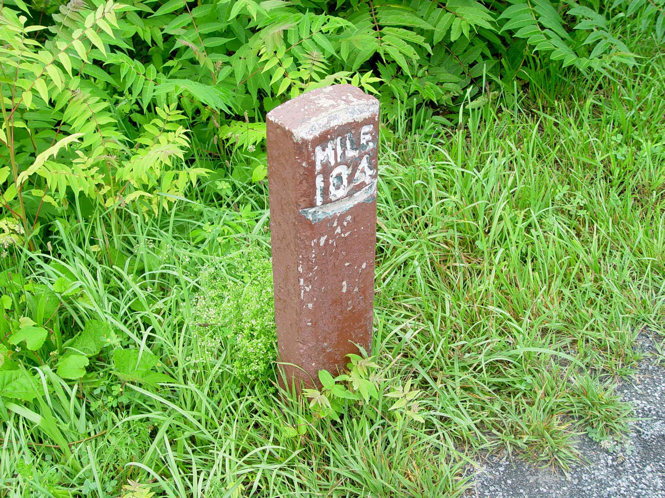 06895WhooHooHalfAMileDown.jpg (712804 bytes)