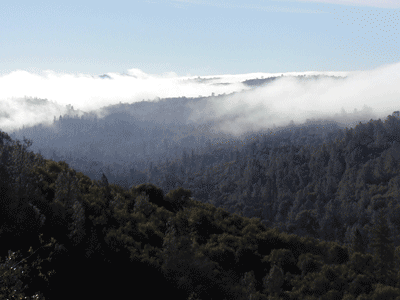 fog over valley