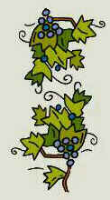 grape vines