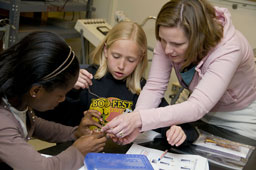 Picture of scout(s) doing physics experaments. Select (click) picture to view it enlarged.