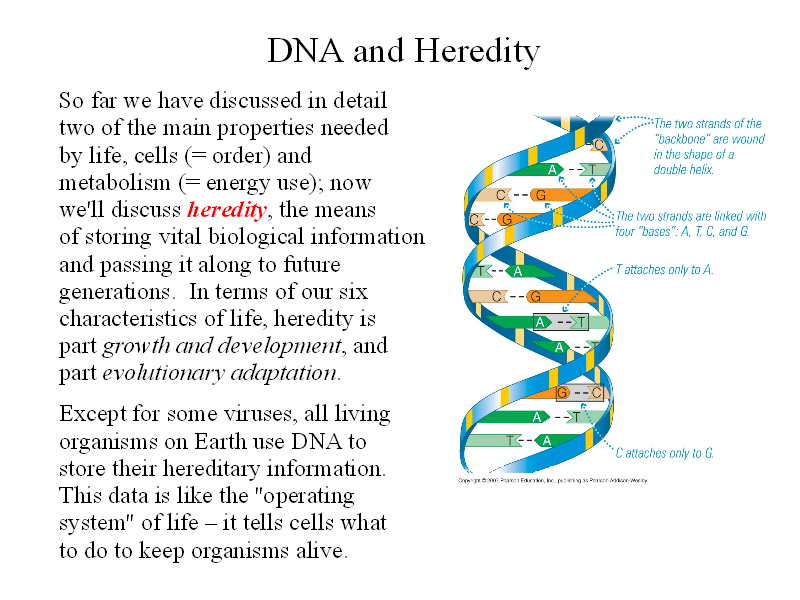 dna stands for in biology dna stands for in biology