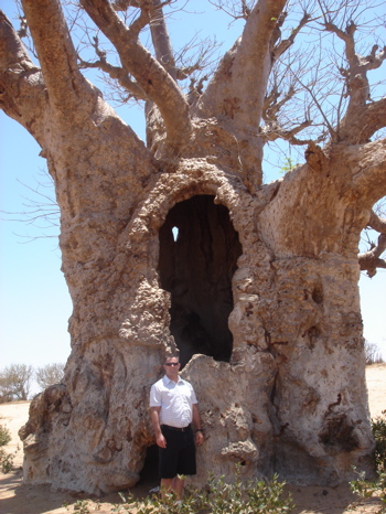 dr. vann in front of a baobad tree in senegal