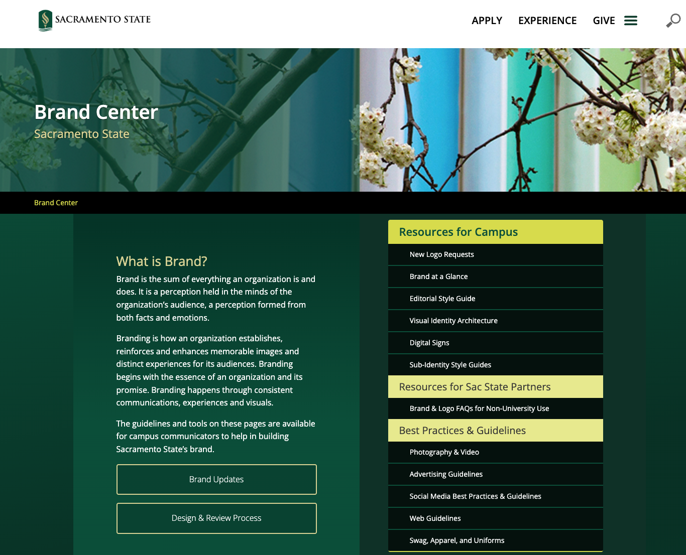 Image of Sac State brand website home page