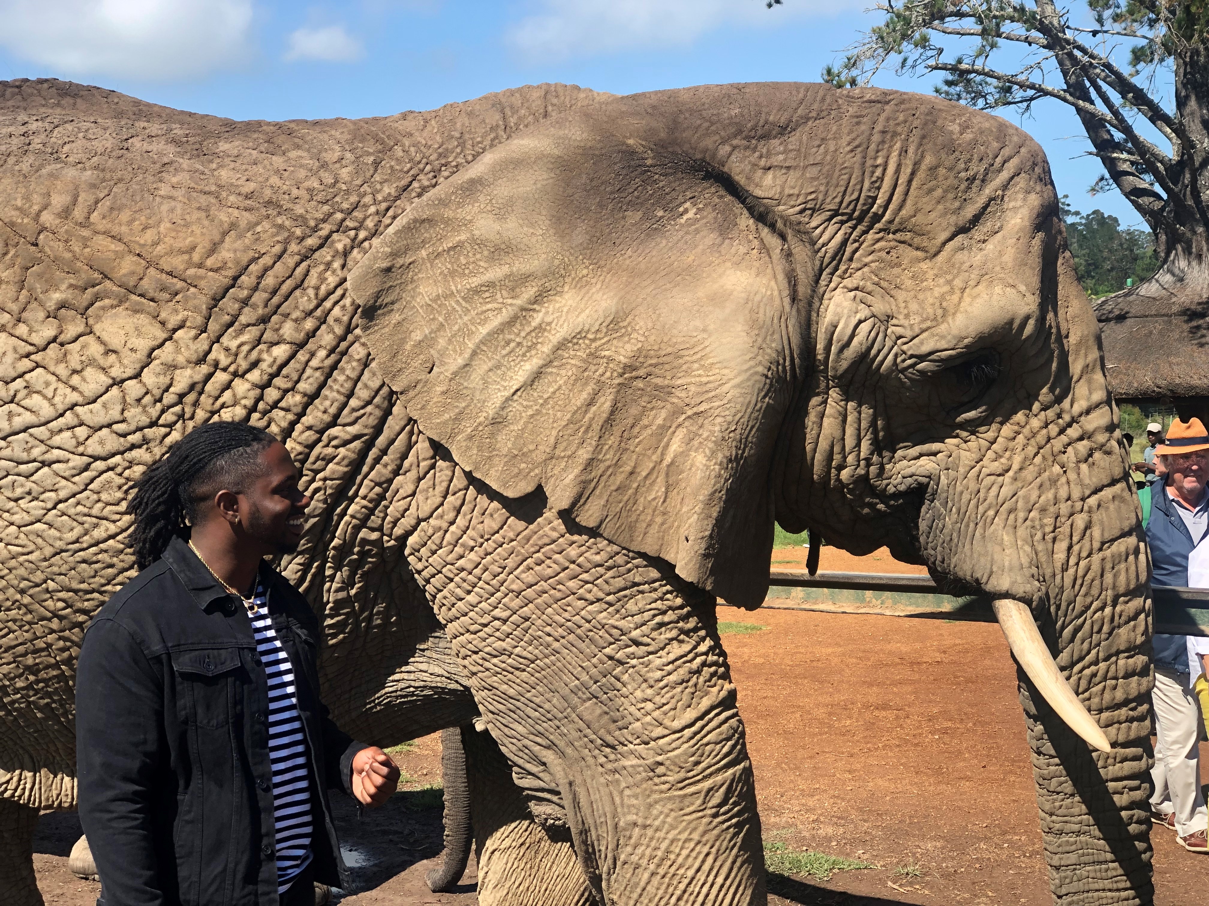 Student with an elephant in South Africa