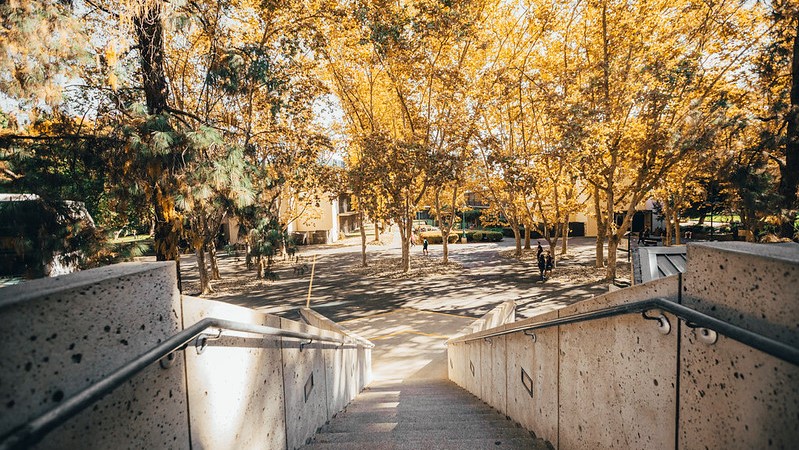 Most Fall 2020 classes will feature virtual instruction | Sacramento State Most Fall 2020 classes will feature virtual instruction | Sacramento State