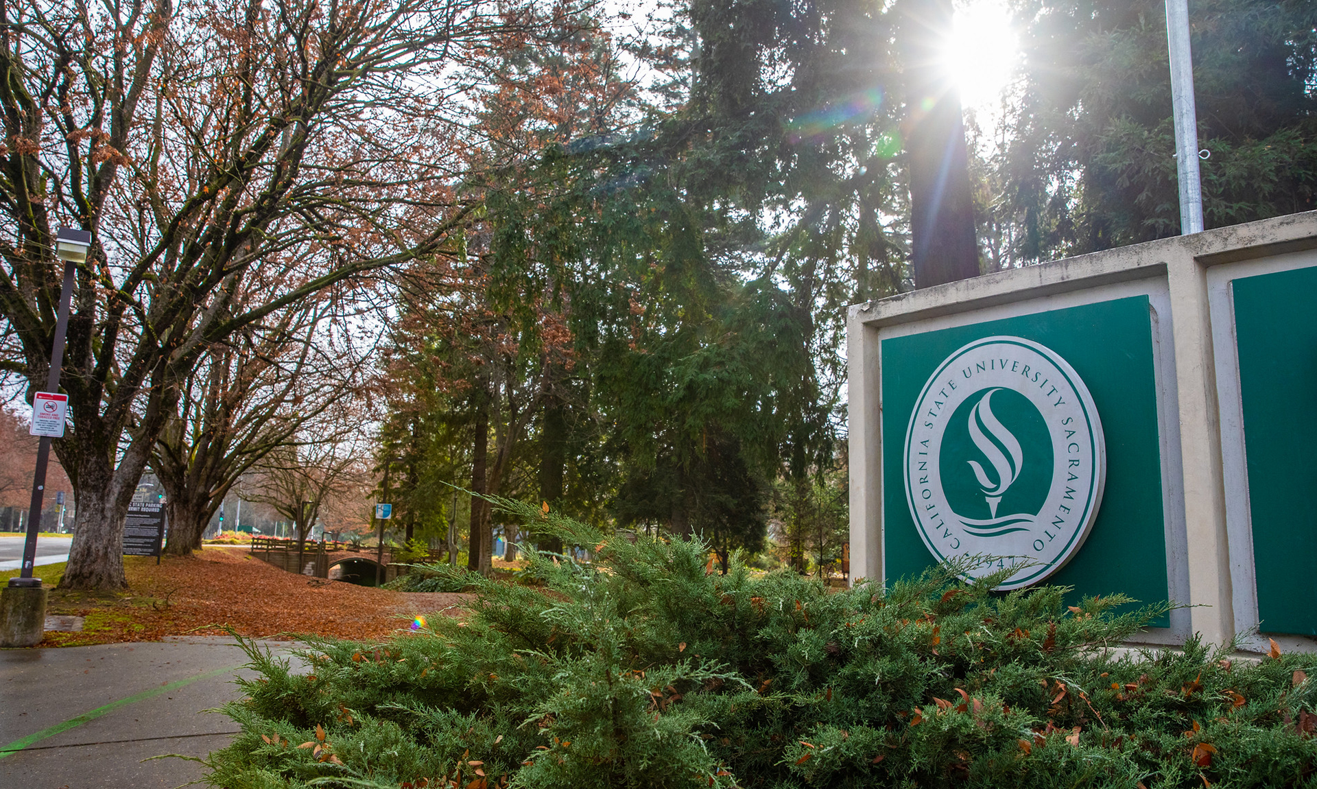 Class Notes: Notable Sac State grads and their accomplishments | Sacramento  State